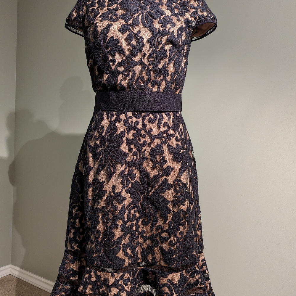 Tadashi Shoji Black and Cream Lace Dress